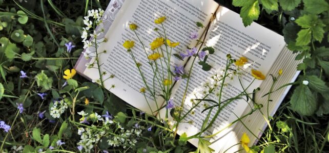 Cir­co­li di let­tu­ra (in Prä­senz und online) — Früh­jahr&nbsp;2026